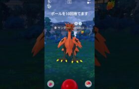 【ポケモンGO】ガラルサンダーに遭遇！