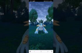 ポケモンGO　野生のラグラージ