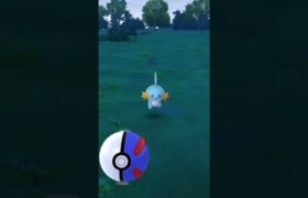 【難易度低】ワンリキー極小サークルクリティカルゲット【ポケモンGO】