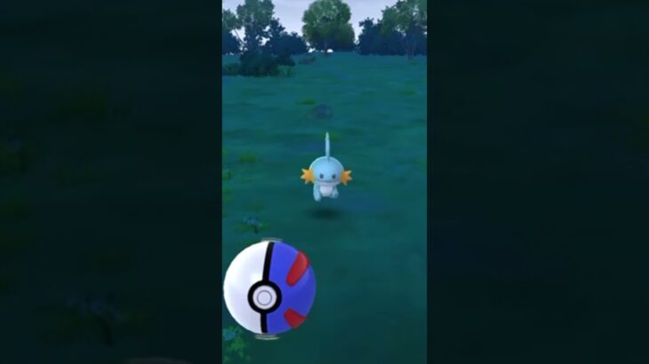 【難易度低】ワンリキー極小サークルクリティカルゲット【ポケモンGO】