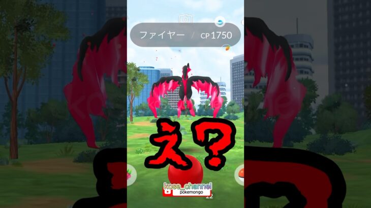 【ポケモンGO】ガラルファイヤーこんなの初めて！ ハラハラ！#ガラルファイヤー #ガラル３鳥 #2024年7月19日