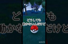 ポケモンGOである事件か…