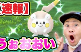 速報！トゲデマル色違い簡単かも！？ウルトラアンロック２【ポケモンGO】