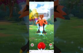 ポケモンGO　ガラルサンダー初遭遇で、、