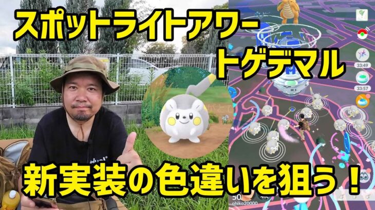 【ポケモンGO】絶望からのミラクル再び！？トゲデマルのスポットライトアワー