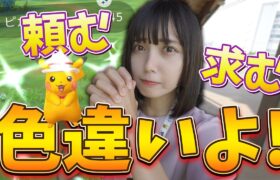 ピカ様の色違いよ…求！頼！スポットライトアワーで出るのか？【ポケモンGO】