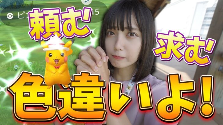 ピカ様の色違いよ…求！頼！スポットライトアワーで出るのか？【ポケモンGO】