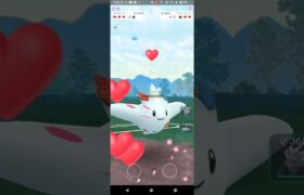 マスタープレミア【ポケモンGO】コノヨザル、トゲキッス、ギャラドス