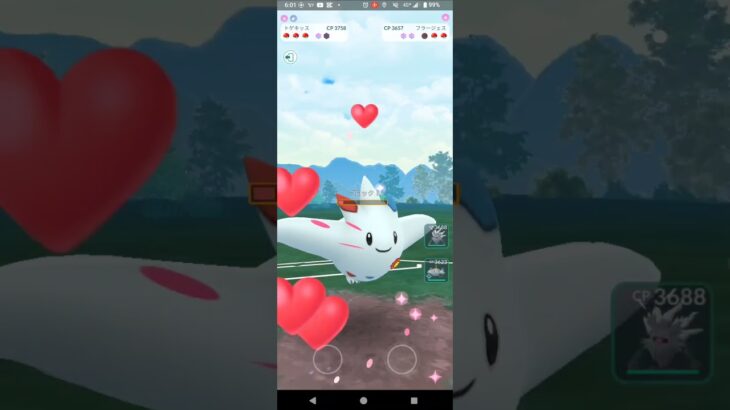 マスタープレミア【ポケモンGO】コノヨザル、トゲキッス、ギャラドス