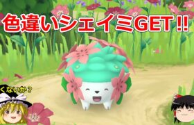 【ポケモンGO】色違いシェイミをゲットしよう‼その７（続行リサーチ：きらめき）