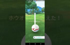 色違いホウオウ捕獲【ポケモンGO】