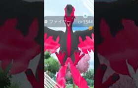 あ！ガラルファイヤーが現れた！！！【ポケモンGO】　#ガラルファイヤー #ポケモンGO