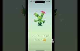 【ポケモンGO】 狙えサニーゴちゃん色違い👏 #ポケモン #ポケモンGO #ポケGO #色違い