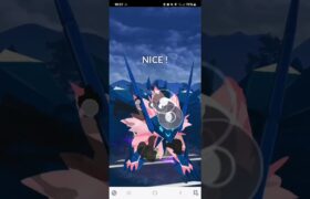 ポケモンGO マスターリーグ Lカイリュー、ミュウツー、ネクロズマ(たそがれのたてがみ)