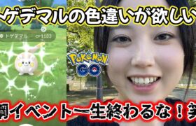 【旬の子】トゲデマルの色違いがどうしてもほしい😂💕はがねイベント一生終わらないでくれ🙏💦ポケモンGO Pokémon GO  Japan  일본인 포켓몬고