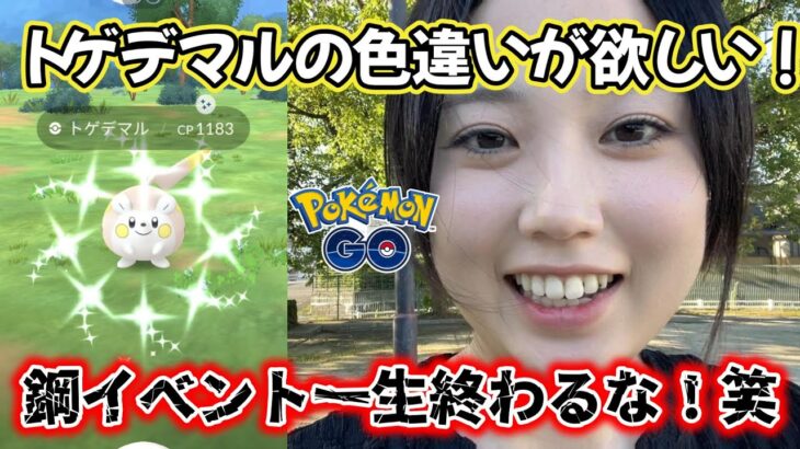 【旬の子】トゲデマルの色違いがどうしてもほしい😂💕はがねイベント一生終わらないでくれ🙏💦ポケモンGO Pokémon GO  Japan  일본인 포켓몬고