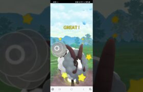 ポケモンGO SLリミックス ココロモリ、バイウール―、Sカイリキー