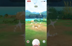 [ポケモンGO]色違いカミツルギゲットチャレンジ✨‼️ #ポケモンgo #レイド #pokemongo #pokemon #色違いレイド