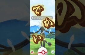 【ポケモンGO】デンジュモクって結束バンドで縛られてるの？【ウルトラビースト】#ポケモン #happy #shorts #色違いレイド