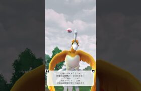 【ポケモンGO】色違いホウオウゲッチャレ #ポケモン #伝説 #ショート #pokémon #ho-oh #ホウオウ #shorts #色違い