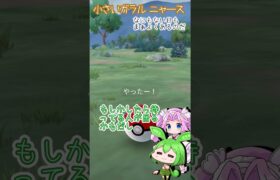 【ポケモンGO】何もない日…小さいガラルニャースGetなのだ【PokémonGO】 #shorts  #ポケモンgo #pokemongo    #ずんだもん