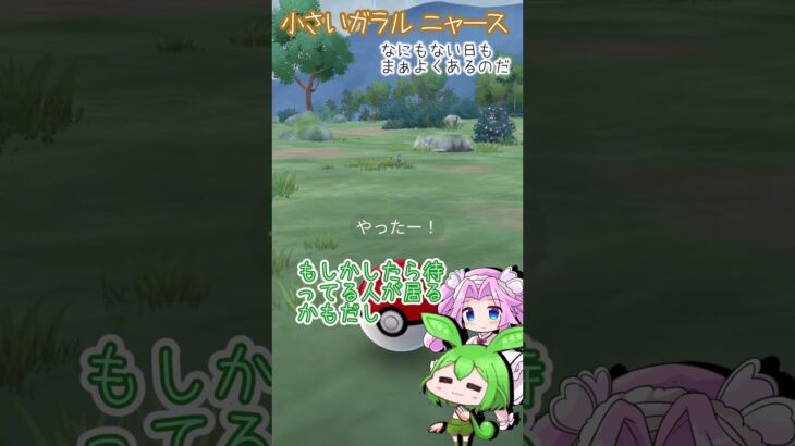 【ポケモンGO】何もない日…小さいガラルニャースGetなのだ【PokémonGO】 #shorts  #ポケモンgo #pokemongo    #ずんだもん