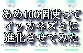 【ポケモンGO】あめ100個使ってイッカネズミに進化させてみた #shorts