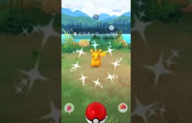 【ポケモンGO】冠👑ピカチュウ色違い降臨！これで2種類コンプリート！#shorts #pokemongo #ポケモンgo色違い #ポケモンgo