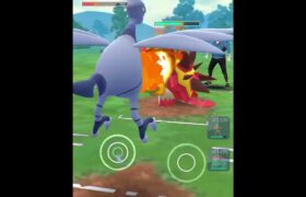 【ポケモンGOバトル#304】これで連勝記録伸ばしました✨さあ今すぐ上の🐸マークをタップして👍&チャンネル登録しよう！！ココチAチャンネルオリジナルポケモンGOバトル動画がいつでもどこでも見放題だ