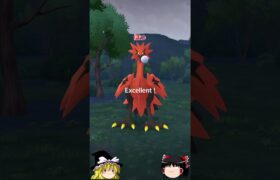 【ポケモンGO】ガラルサンダーは一番Excellentが狙いやすい⁉（ガラル三鳥 チャレンジ94回目)#shorts