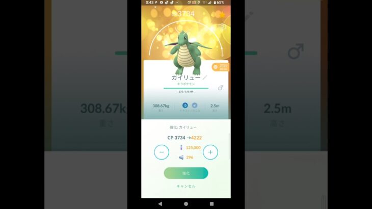 ポケモンGO　色違いカイリューをPL40からPL50まで強化をやってみた。