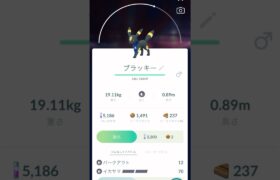 【ポケモンGO】月スカーフ・ブラッキー☆ゲットタイム動画❣️（Pokémon GO Fest 2024：グローバル）@arata.channel .japan.Jul2024 #shorts