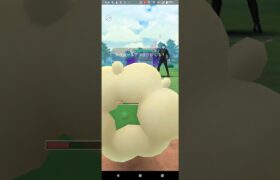 エルフーンのみで倒します！スーパーリーグリミックス【ポケモンGO】エルフーン、デオキシス、Sヤミラミ