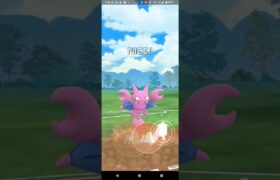 スーパーリーグリミックス【ポケモンGO】Sハクリュー、メレシー、グライガー