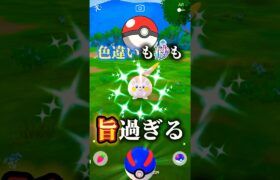 【スポライ】今夜は色違いも砂も旨すぎる。【ポケモンGO】　#ポケモンgo #スポットライトアワー #トゲデマル　#色違い