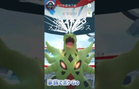 【家族でポケモンGO】チームを組んで効率よく星の砂ゲット！　#shorts