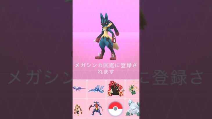 【ポケモンGO】メガルカリオにメガ進化！#shorts #pokemongo #ポケモンgo