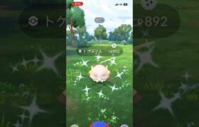 [PokemonGO] トゲデマル色違い 初実装ゲット！ #ポケモンgo