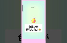 【PokemonGO】色違いが孵化したよ3 #ポケモンgo #shorts