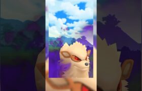 【PokemonGO】シャドウパーティ9 スーパーリーグ ポケモンGO