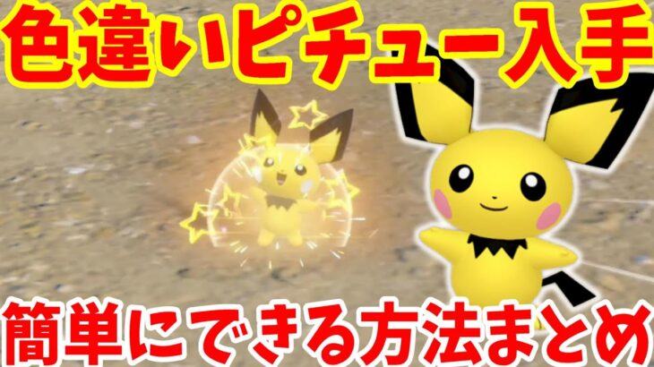 【ポケモンSV】色違いピチューを探せ！おすすめレシピはこの効果！【ポケモンスカーレットバイオレット・ゼロの秘宝】