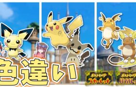 【サマーイベント】サンドイッチなしで色違い見つけるぞ！！！！【ポケモンSV】【きみにじ】