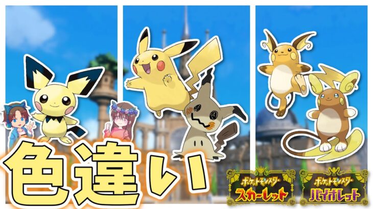 【サマーイベント】サンドイッチなしで色違い見つけるぞ！！！！【ポケモンSV】【きみにじ】