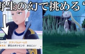 【検証】野生限定の四天王チャレンジに幻「メロエッタ」でも挑めるのか？【ポケモンSV/藍の円盤/ゼロの秘宝】