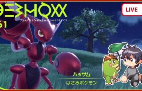 【ポケモンSV】コライドン軸を破壊するハッサム【ランクバトル】