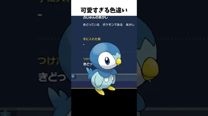 ポッチャマの色違いが可愛すぎる・・・【ポケモンSV】