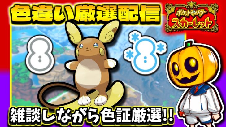 【ポケモンSV】雪の天候証持ち「アローラライチュウ」を狙って色証厳選配信!!【ポケモン】【色違い厳選】【色違いポケモン】【藍の円盤】