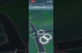 Shiny!! × 色違い!!【ポケモンGO】#shorts NO.0116