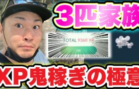 速報！XPを劇的に稼ぎたい人必見攻略法！ワッカネズミのレア度は？【ポケモンGO】