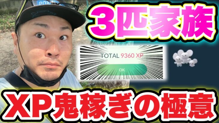 速報！XPを劇的に稼ぎたい人必見攻略法！ワッカネズミのレア度は？【ポケモンGO】